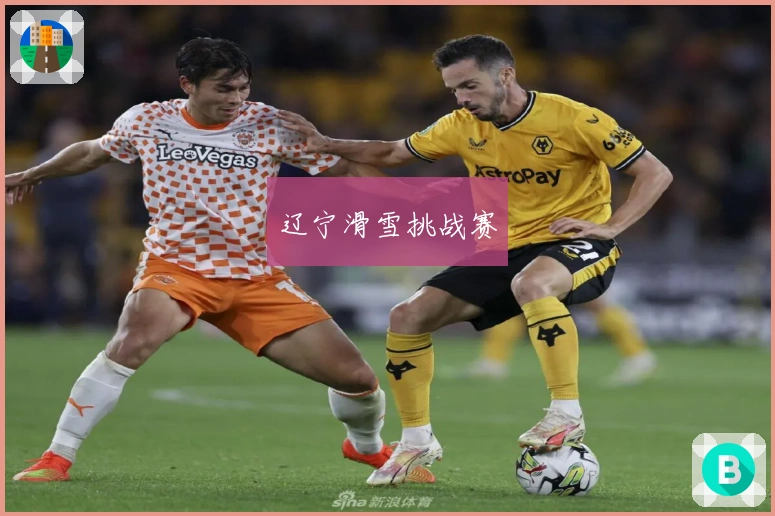 辽宁滑雪挑战赛