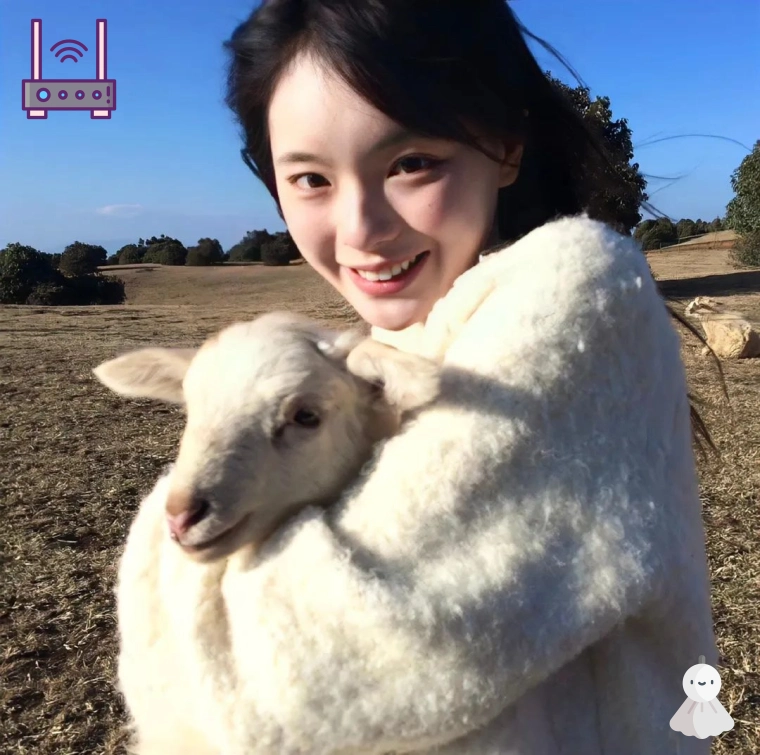 火箭控阿健（浙江省）